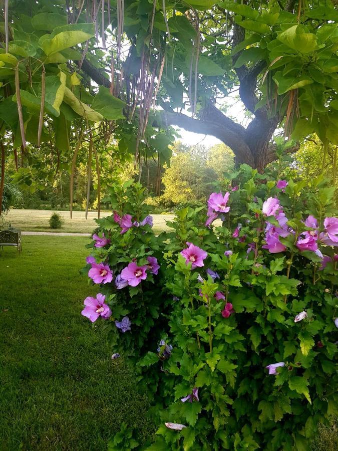 Chateau De La Coutanciere Hotel Brain-sur-Allonnes